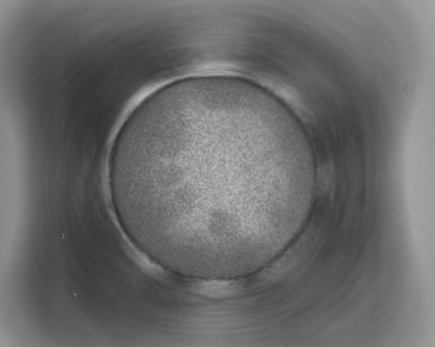 X0000111131470200907141201