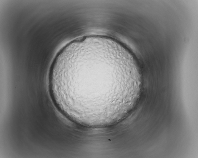 X0000111131471200907141201