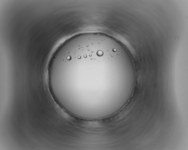 X0000111131472200907141201
