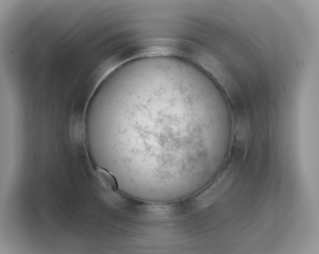 X0000111131473200907141201