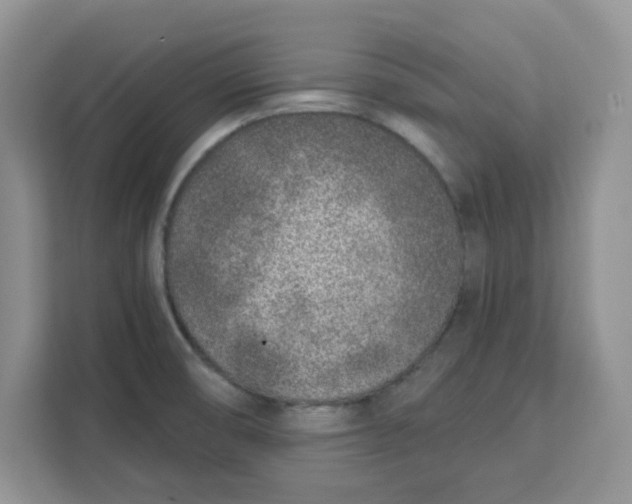 X0000111131474200907141201
