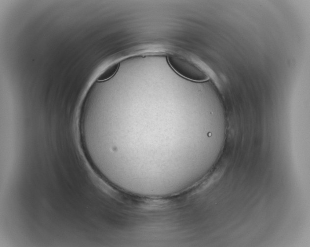 X0000111131475200907141201