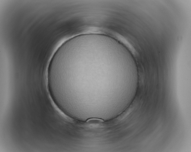 X0000111131479200907141201