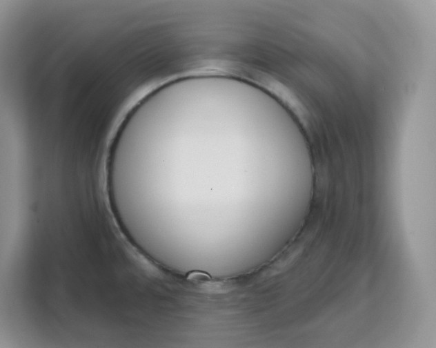 X0000111131480200907141201