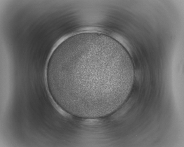 X0000111131482200907141201