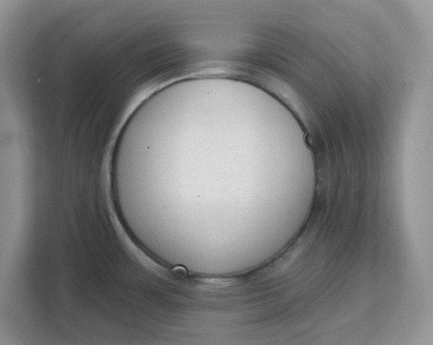 X0000111131483200907141201