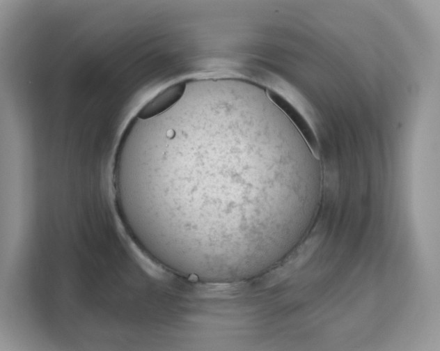X0000111131485200907141201