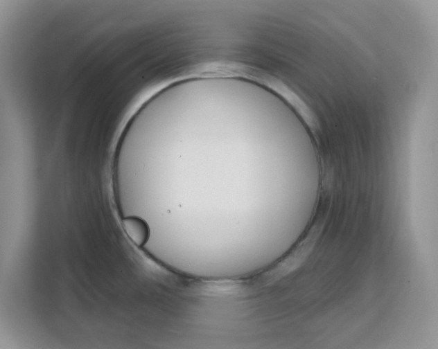 X0000111131486200907141201