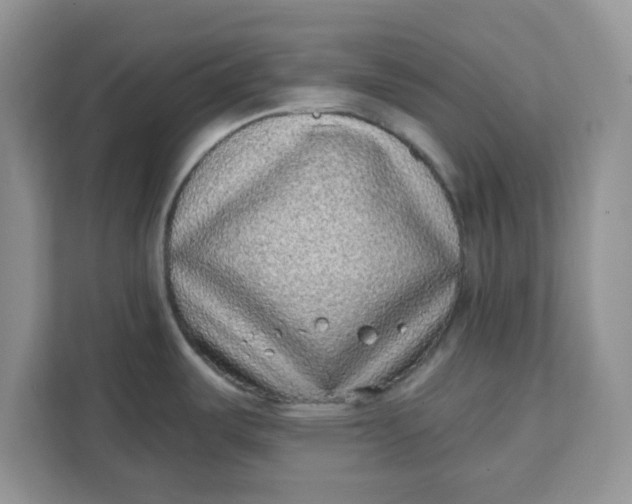 X0000111131487200907141201