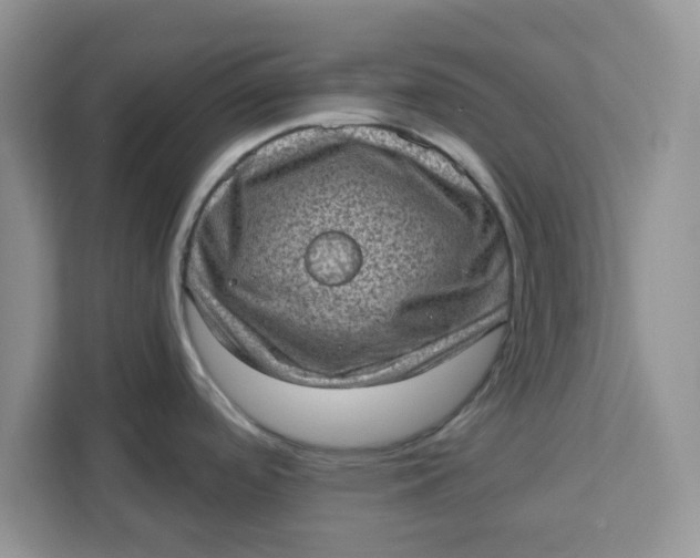 X0000111131488200907141201