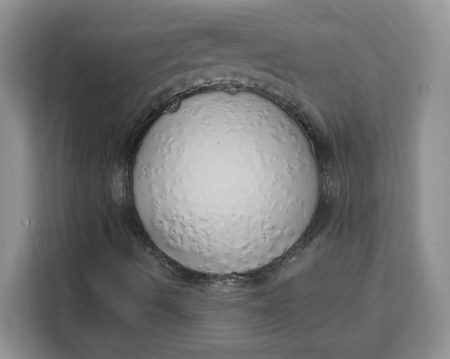 X0000111131490200907141200