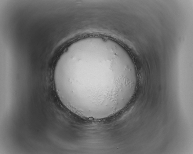 X0000111131494200907141200