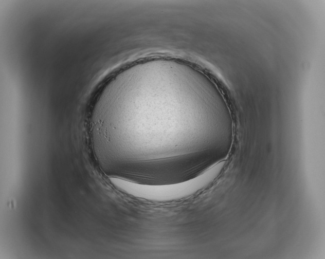 X0000111131496200907141200