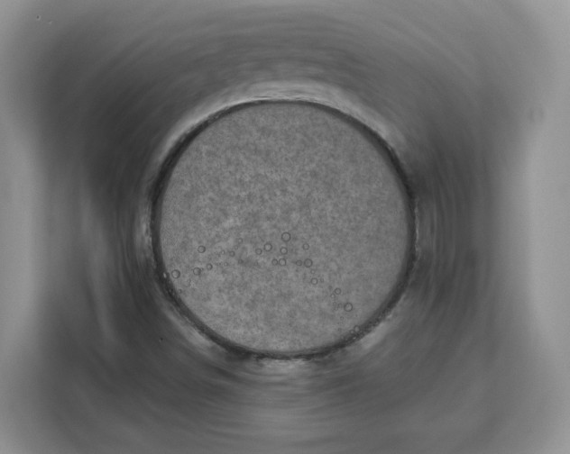 X0000111131498200907141200