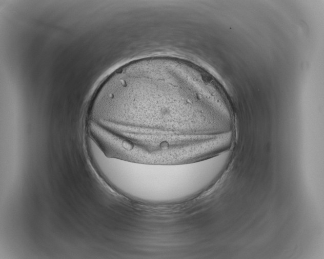 X0000111131500200907141200