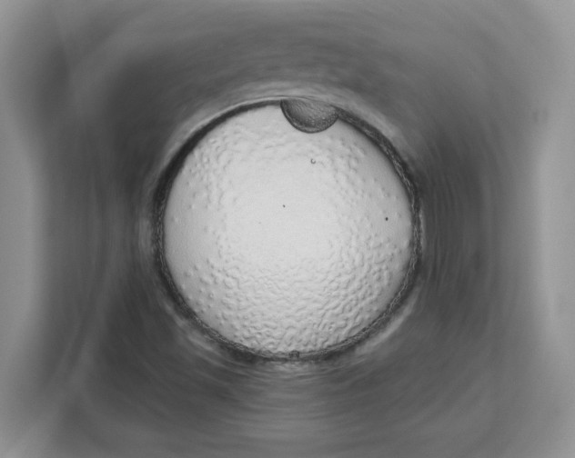 X0000111131501200907141200