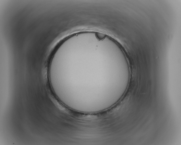 X0000111131503200907141200
