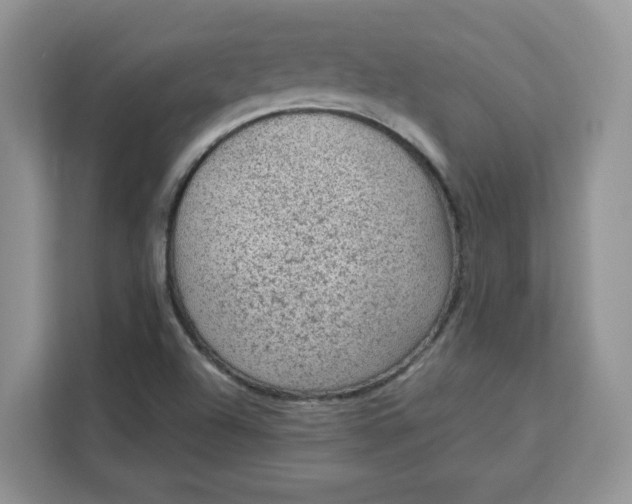 X0000111131504200907141200