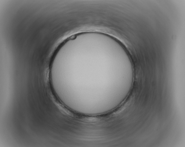 X0000111131507200907141200