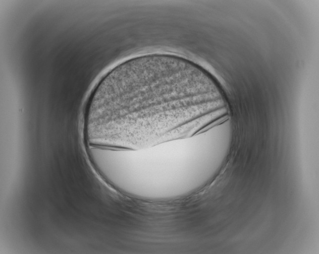 X0000111131508200907141200