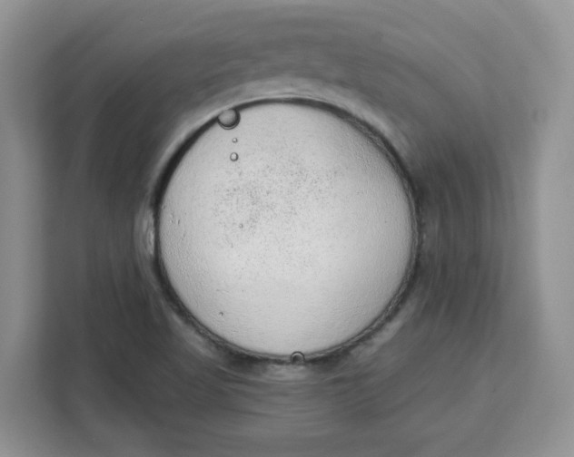 X0000111131509200907141200