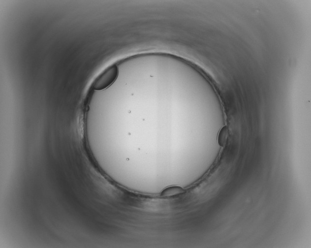 X0000111131510200907141200