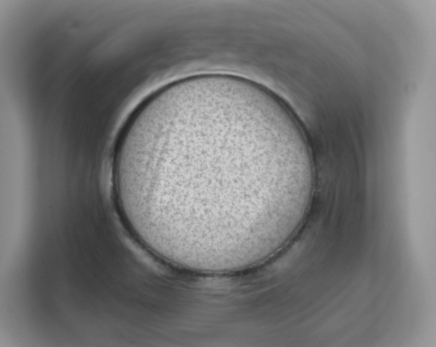 X0000111131511200907141200
