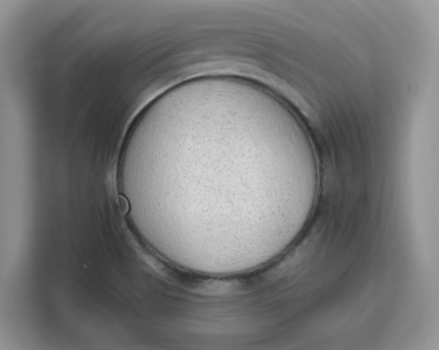 X0000111131513200907141200