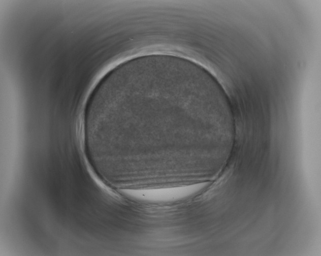 X0000111131515200907141200