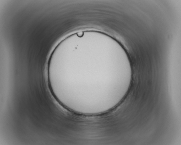 X0000111131516200907141200