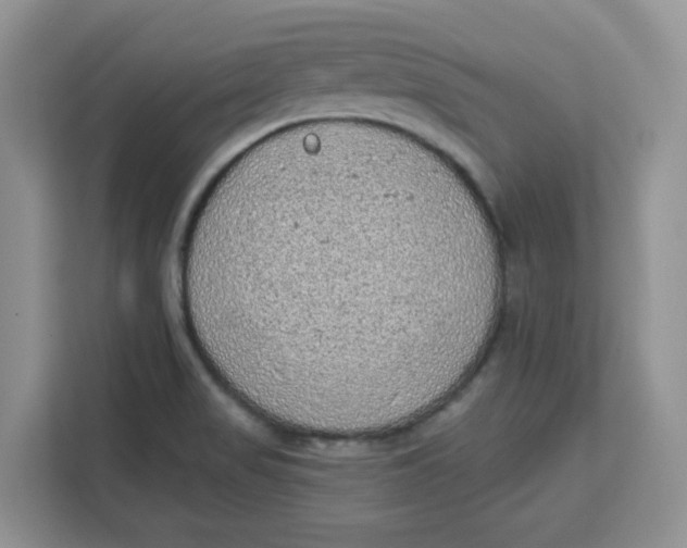 X0000111131517200907141200
