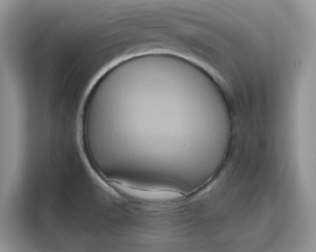 X0000111131518200907141200