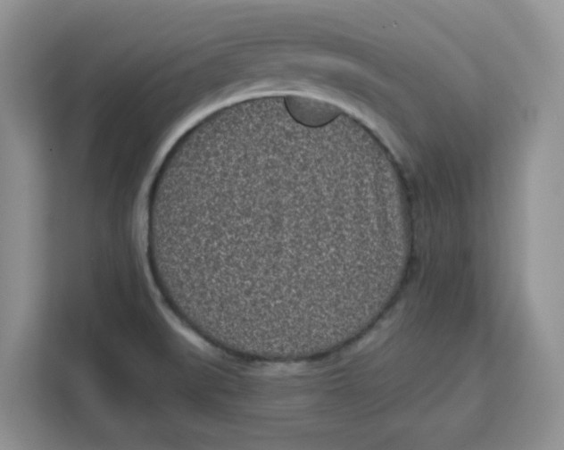 X0000111131519200907141200
