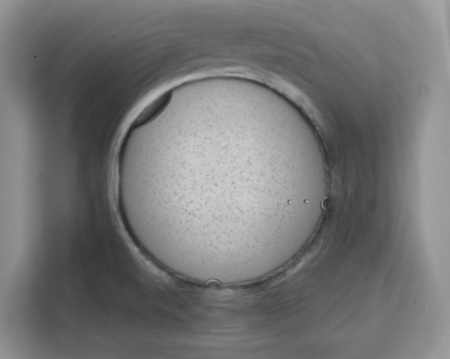 X0000111131520200907141200