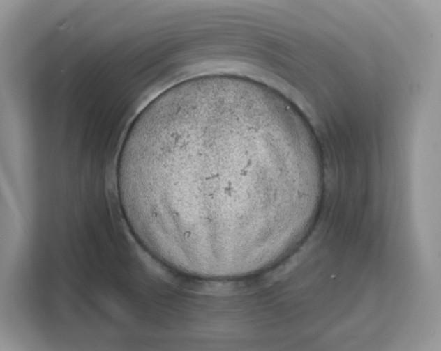 X0000111131521200907141200