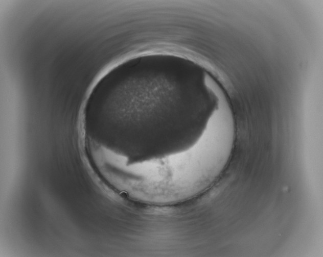 X0000111131522200907141200