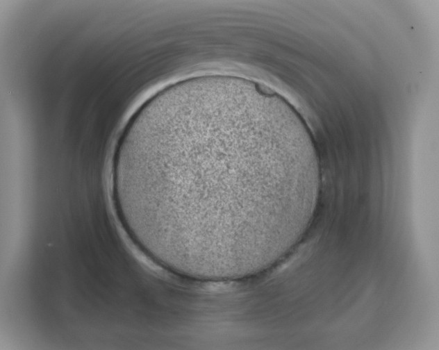 X0000111131523200907141200