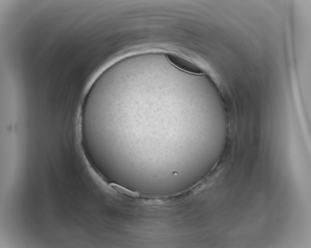 X0000111131524200907141200