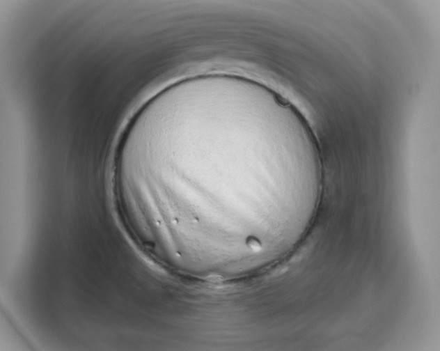 X0000111131525200907141201