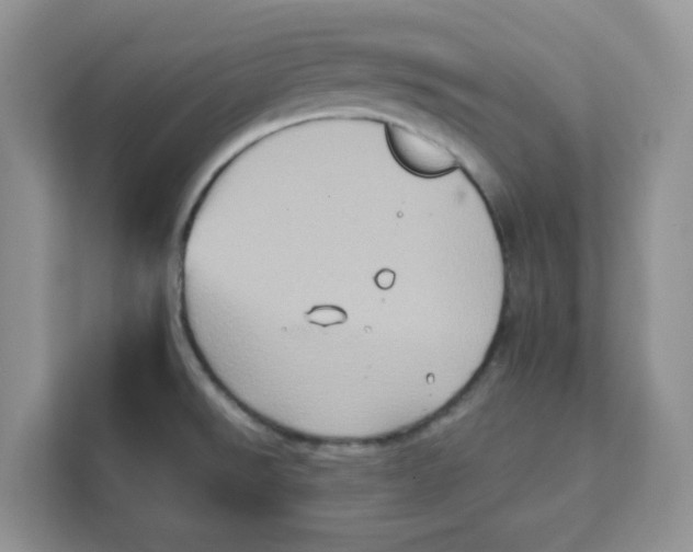 X0000111131526200907141201