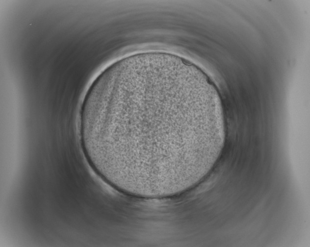 X0000111131527200907141201