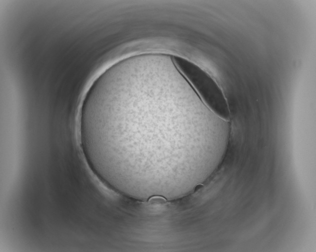 X0000111131528200907141201
