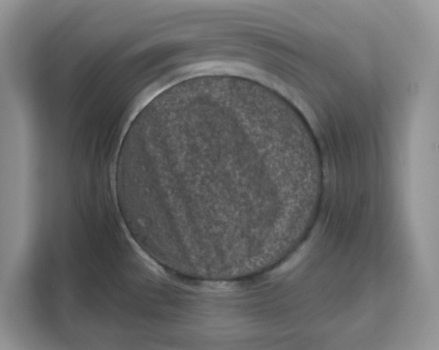 X0000111131529200907141201