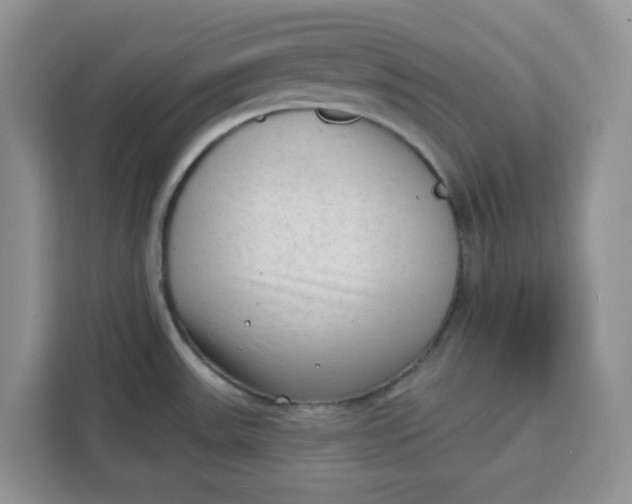 X0000111131531200907141201