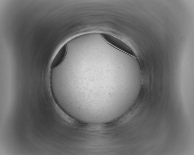 X0000111131532200907141201