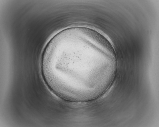 X0000111131533200907141201