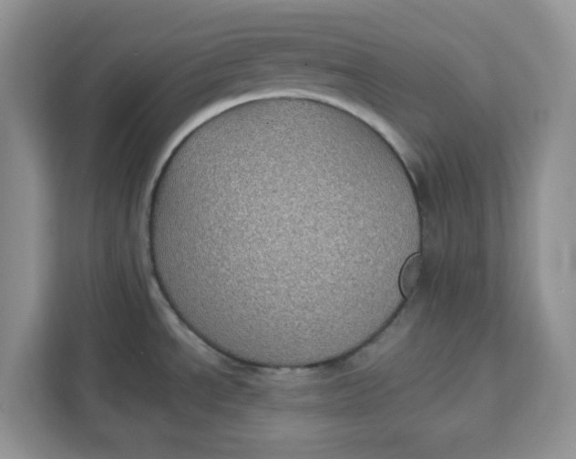 X0000111131534200907141201