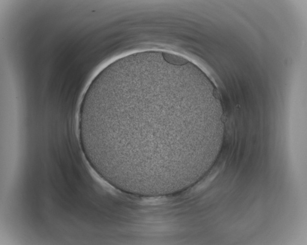 X0000111131535200907141201