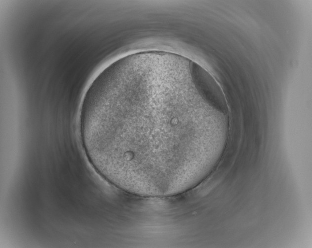 X0000111131536200907141201