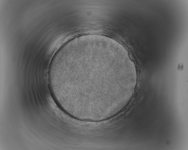 X0000111130002200907211126